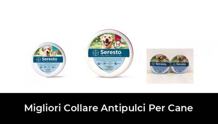 41 Migliori Collare Antipulci Per Cane Nel 2022 (recensioni, Opinioni ...