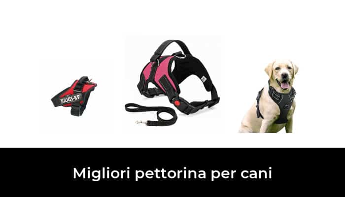 FEimaX Pettorina Cane No-Pull Imbracatura di Cucciolo in Rete Gilet Riflettente Regolabile per Cani Gatti di Piccola Media Taglia Guinzaglio in Nylon Incluso 
