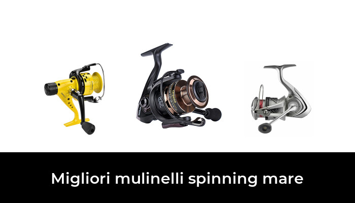 7.1:1 Gear Mulinello da pesca bolognese spinning mare trota bolentino e feeder 