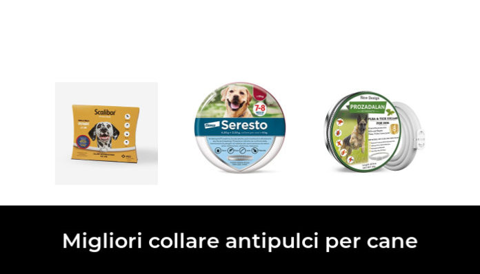 46 Migliori Collare Antipulci Per Cane Nel 2024 (recensioni, Opinioni ...