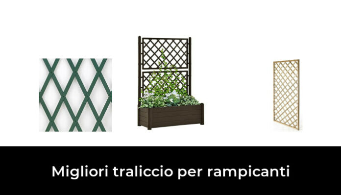 Wellsign Traliccio per piante rampicanti da interno, 40 cm, piccolo traliccio in metallo per piante in vaso per piante in vaso all'aperto con 4 motivi per vite edera fiore supporto per piante