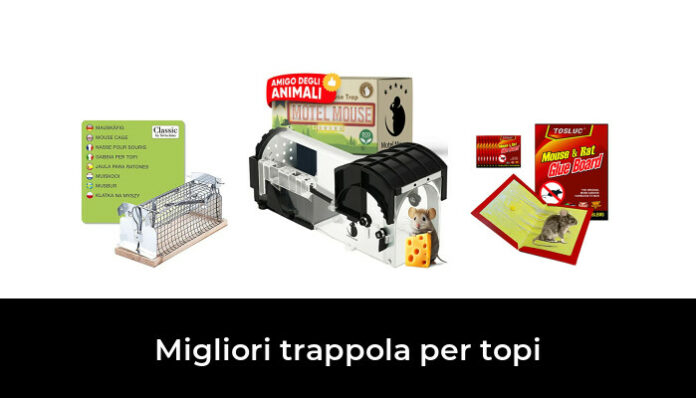 Trappola Per Topi Fai Da Te - Come Fare Una Trappola - Foto 7