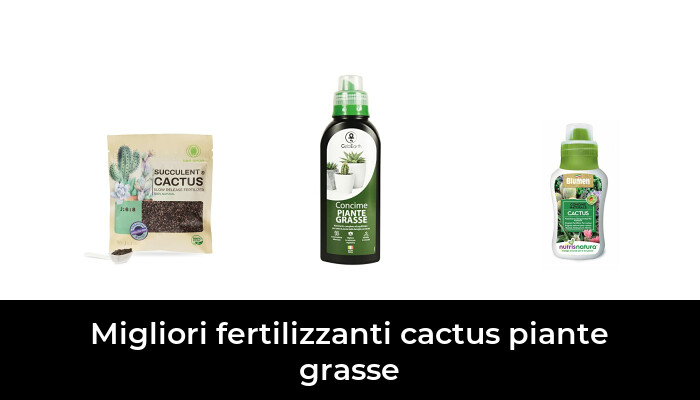 KitchenCraft Vaso Per Piante Con Faccia - Dolomite Grigio 10x10x11 Cm - Per Cactus E Erbe