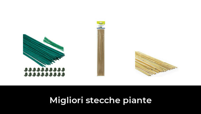 Canne Di Bambù Naturali 240 Cm - Per Piante, Orto, Decorazione (10 Pezzi, Ø 18/20 Mm) - Foto 5